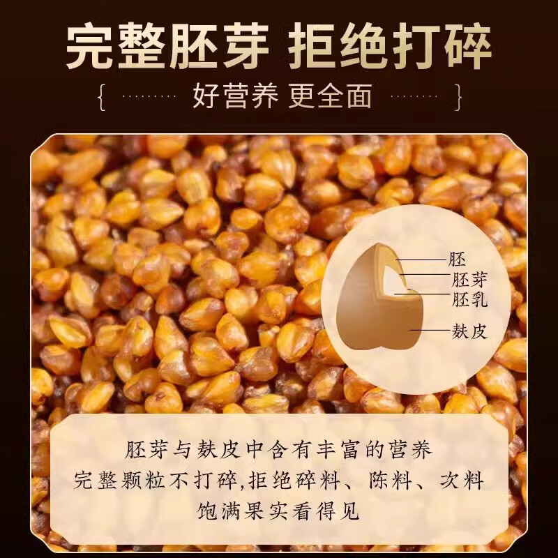 南京同仁堂黑苦荞茶可搭特级中药材泡水喝正宗大凉山黑苦荞珍珠茶 【南京同仁堂-官方正品】吃的放心 250g*1瓶 大凉山黑苦荞茶【3瓶/750g】健康食养推荐