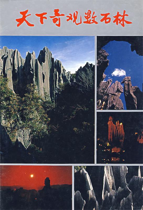 天下奇观数石林 本社 编