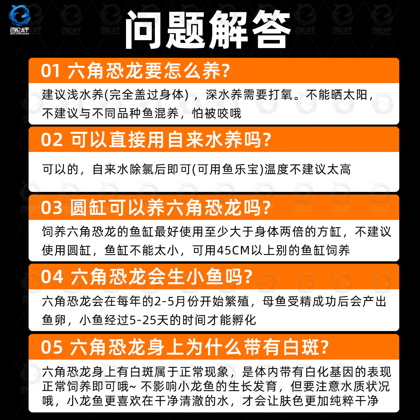 百纶木千六角恐龙鱼观赏鱼耐活鱼冷水鱼蝾螈活体六角龙小鱼网红淡水鱼观赏 4-7cm粉白+黄金六角共2只 送粮