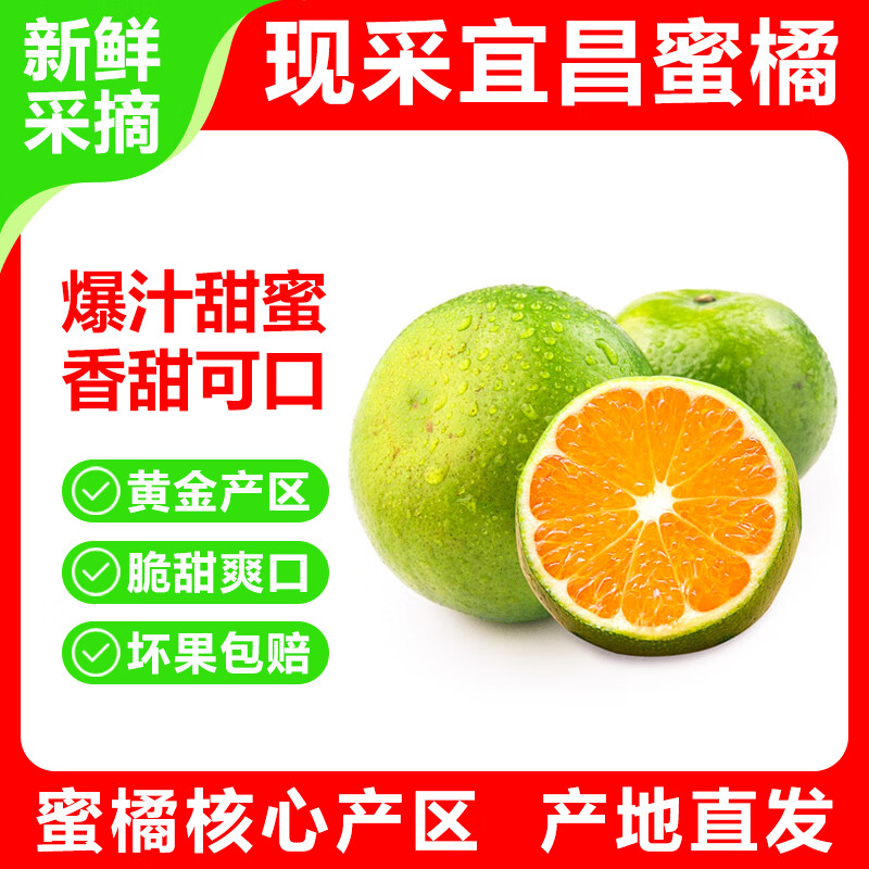 宜昌蜜橘青皮橘子新鲜桔子应季时令孕妇水果当季整箱蜜桔柑橘 青皮蜜橘净重8.5斤(55-65mm)