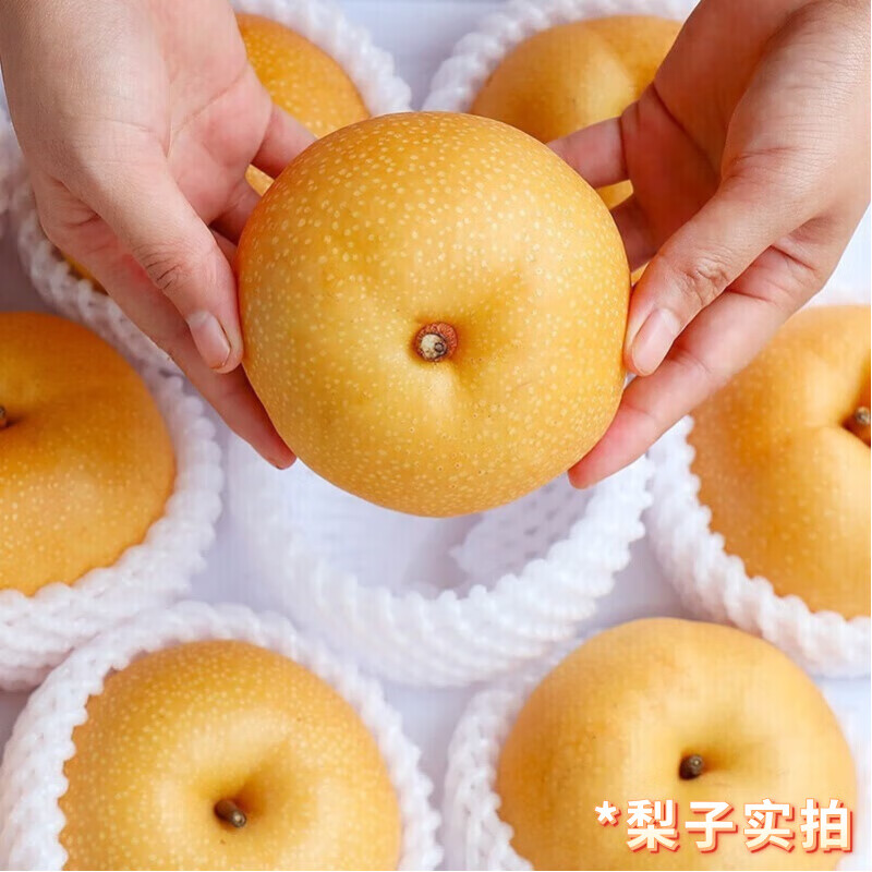 鲜其山东莱阳秋月梨新鲜梨子当季现摘现发整箱孕妇水果冰糖梨爆甜多汁 【爆款主推】5斤果王级|单果400g+