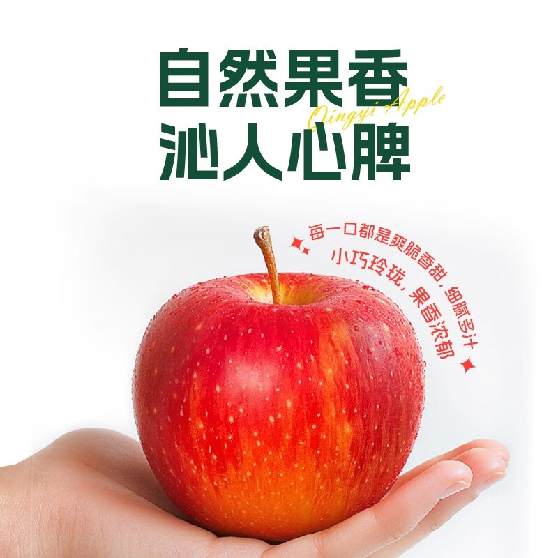 杨家姑娘正宗云南昭通丑苹果 冰糖心高山红露苹果当季新鲜水果礼盒 果径70-80mm(实惠中果) 5斤装【80%的人选择】