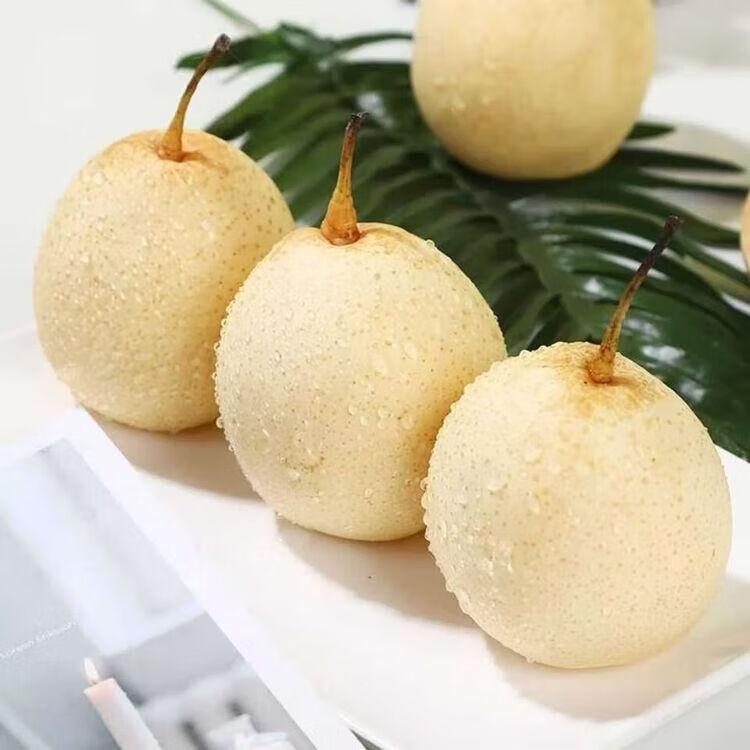 新鲜脆甜多汁鸭梨河北鸭梨香航 手工精选鸭梨带箱3-3.5斤