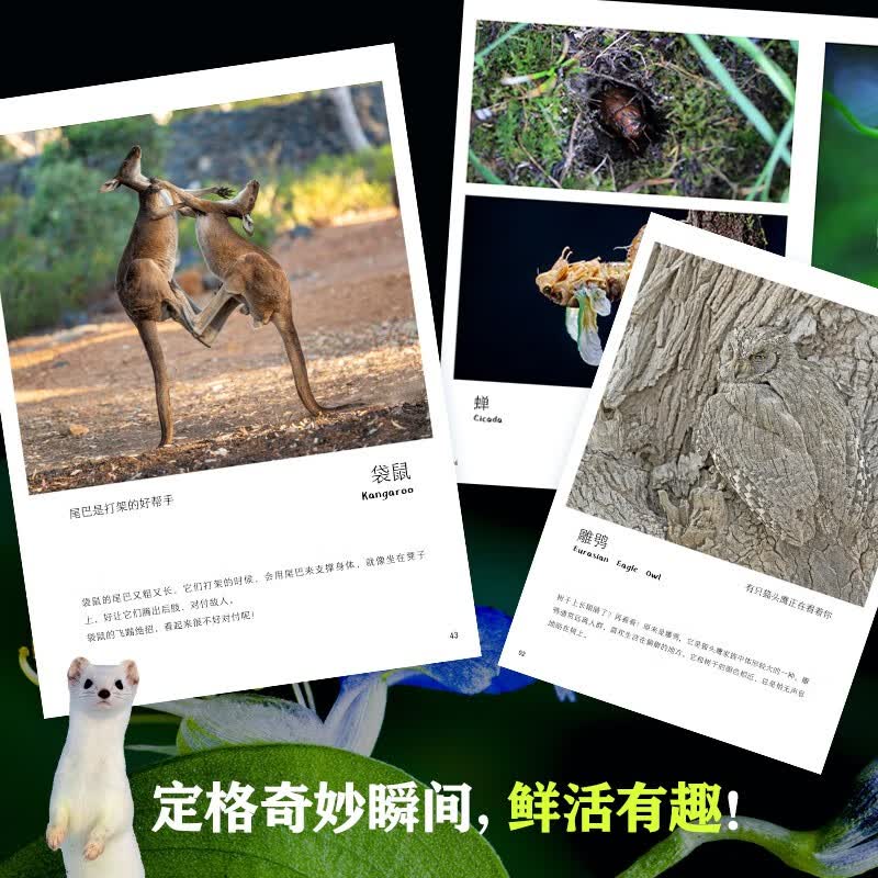 图 5