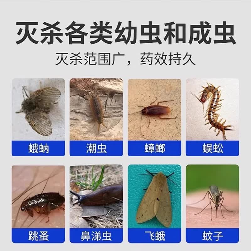 夜薰安蛾蚋专用杀虫剂小飞虫克星室内无毒驱虫蚊香无烟无味2026最新款 1盒 【30支】艾草蚊香