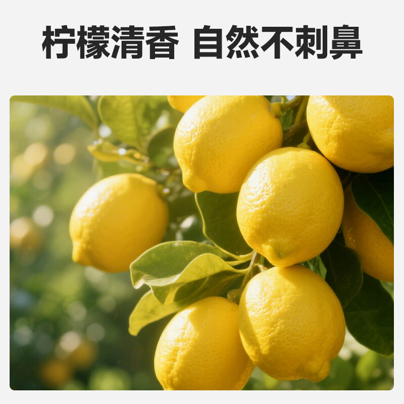 绿之源特厚细纤维毛巾 不掉毛 浴室巾 快速吸水擦水巾 清洁去污室内清洁 柠檬除菌洁厕净