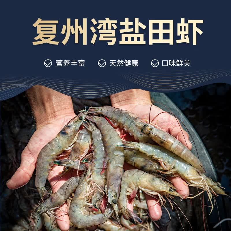 正宗盐田虾大连海鲜特产复州湾盐田虾鲜活速冻大虾急速锁鲜 复州湾盐田虾【40-50】 1500g(净重)