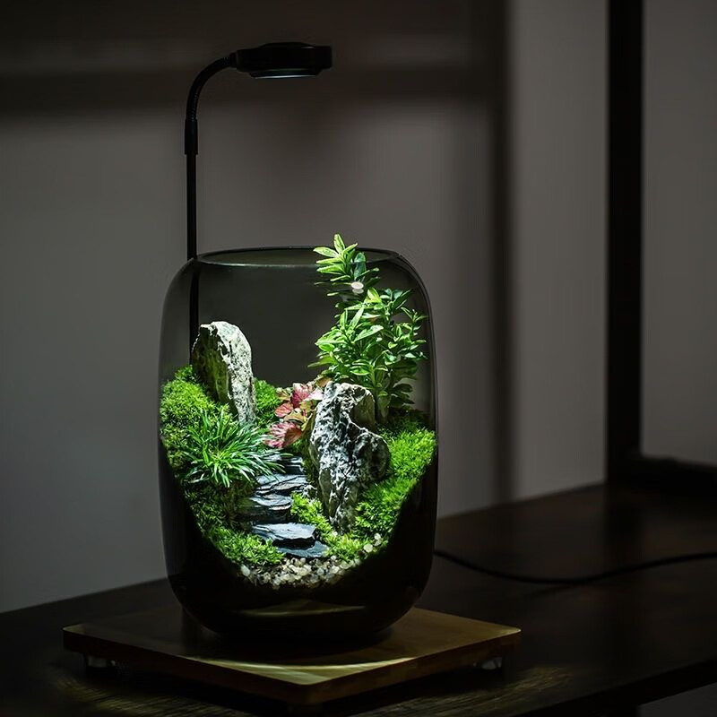 封茗【生命之树】生态瓶苔藓微景观青苔造景缸植物办公室绿植桌面盆栽 步步高升(悟空版)单景观