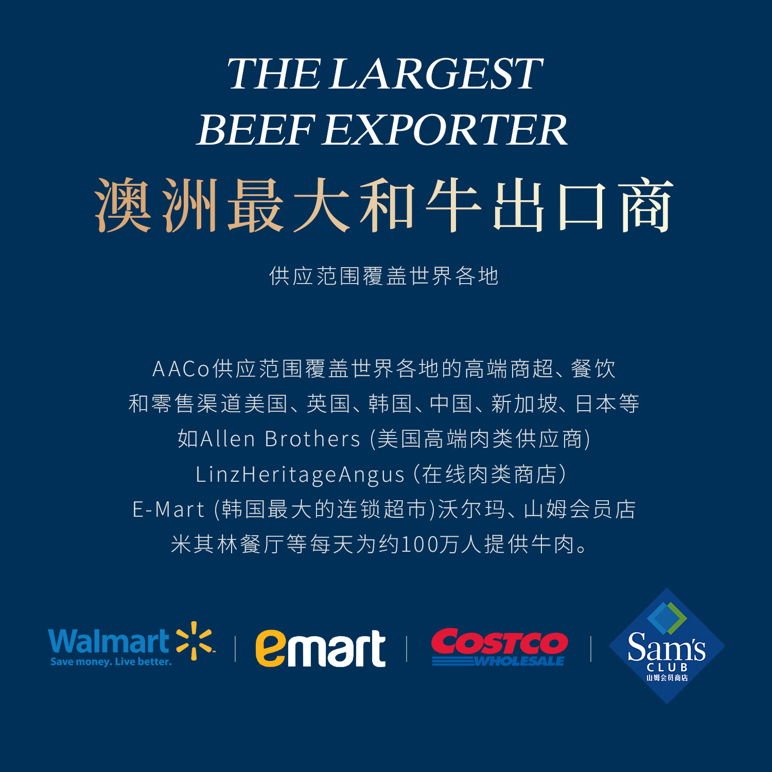 AACO澳洲进口和牛牛肉饼M9原切谷饲330天0添加低脂汉堡肉饼 澳洲和牛肉饼100g*10片
