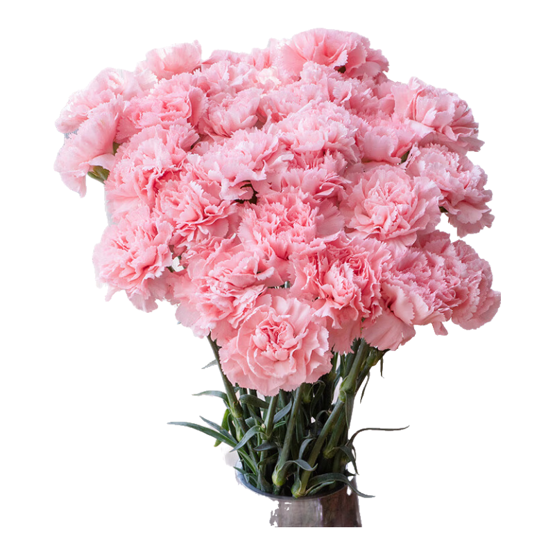 ʻͬͿܰõ賤ȫ ˽İ99ۿܰ ȫͬ ͻ