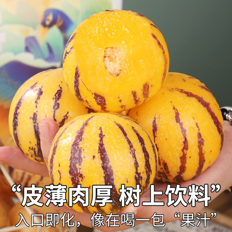 骄瑰云南石林人参果【多地次日达】圆果树上熟当季新鲜水果整箱中秋送 5斤装【超值推荐-80%选】净重4.5斤 9A金奖·老树果【单果110g+】