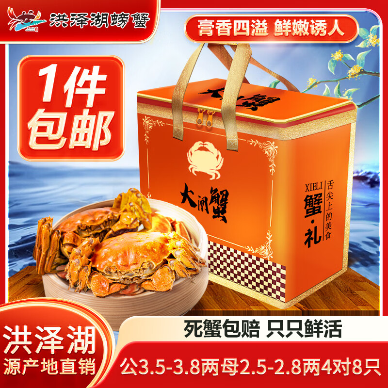 【活蟹】现货正宗洪泽湖大闸蟹 鲜活螃蟹 海鲜水产生鲜礼盒装 公3.5-3.8两母2.5-2.8两4对8只