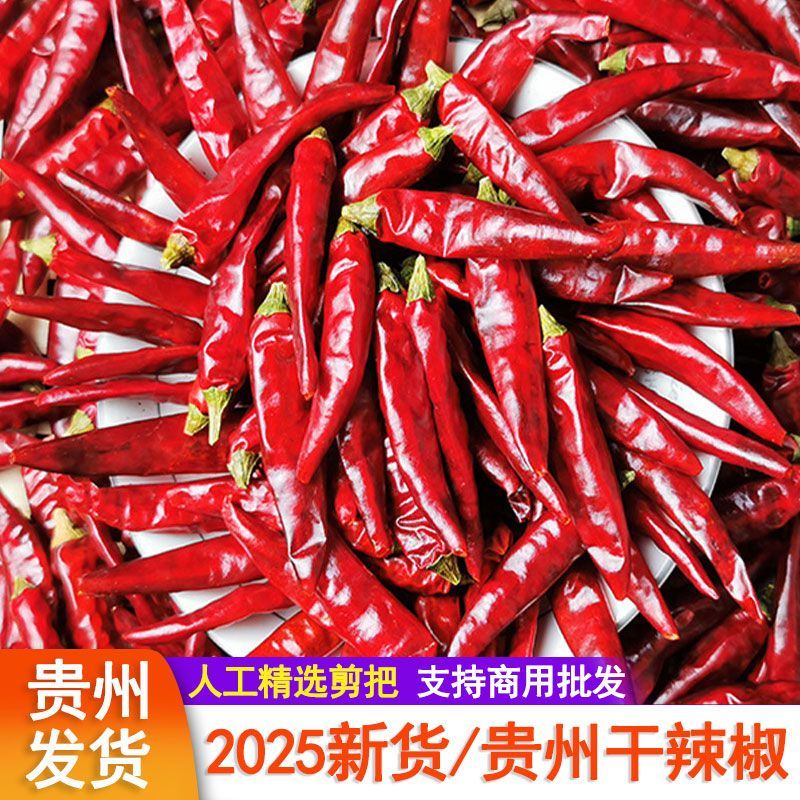 贵州干辣椒子弹头二荆条干辣椒微辣特香朝天椒灯笼椒辣椒干货商用 剪把/贵州子弹头 500g【一斤装】