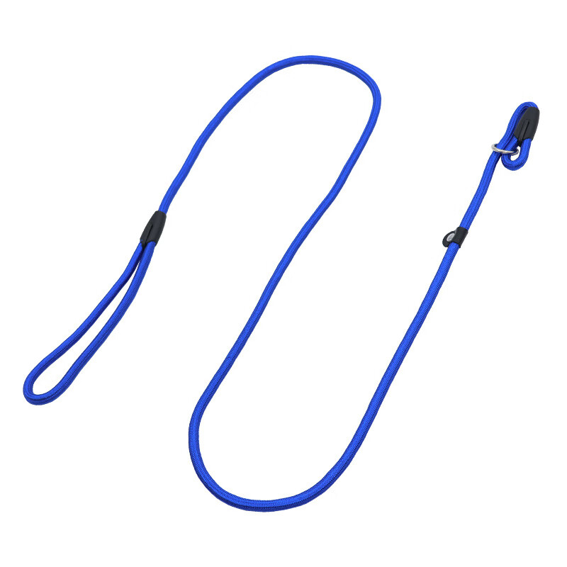 中小型宠物用品狗狗牵引带P绳宠物狗绳P链宠物用品优质尼龙 蓝色 0.6*130cm