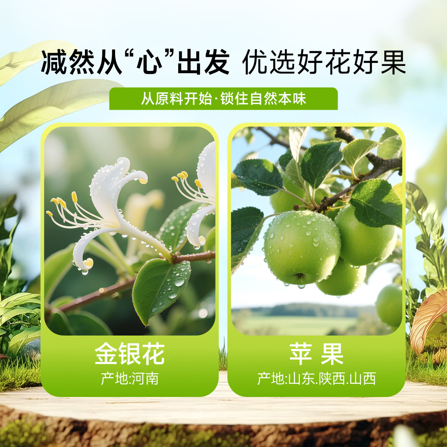 减然【好喝不上火】金银花苹果汁夏天宿舍网红果汁饮料聚会清爽饮料 金银花苹果汁