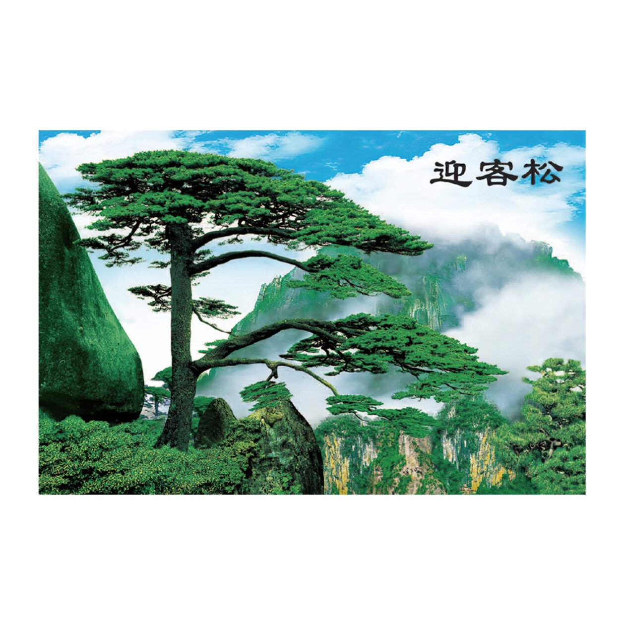 客厅办公室壁画电视背景墙贴纸自粘风景墙画 迎客松01