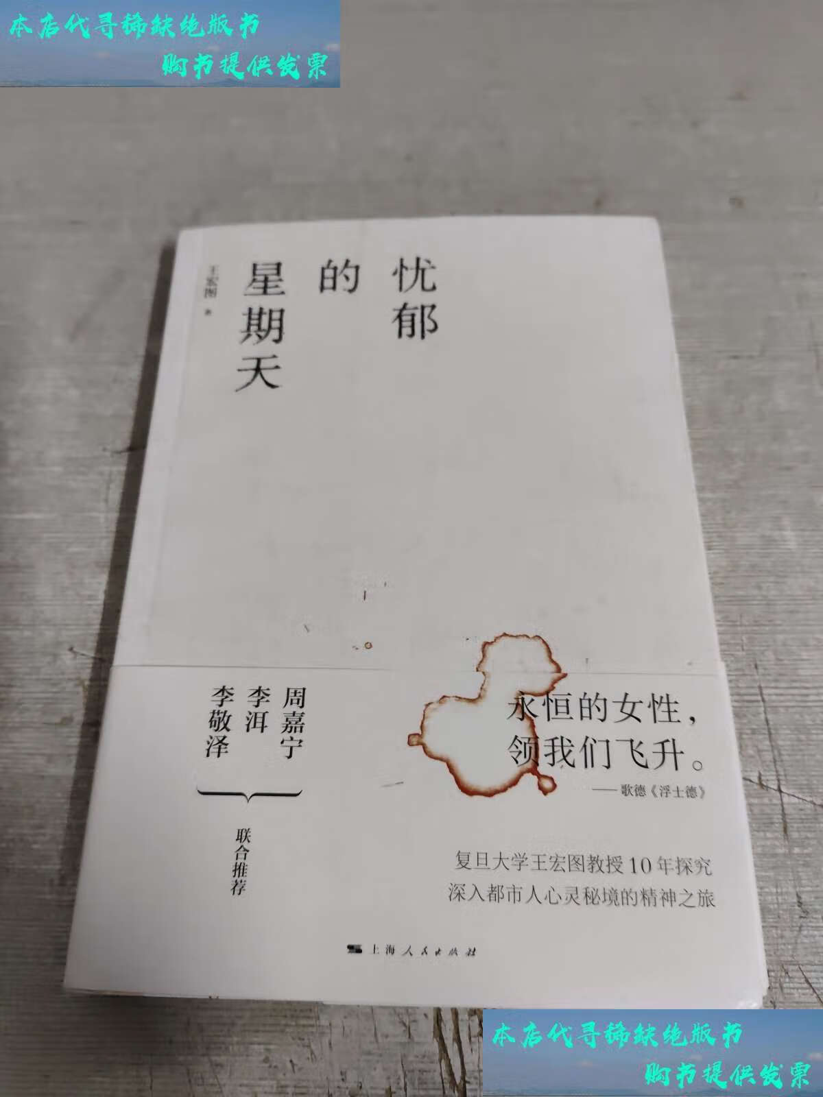 忧郁的星期天 /王宏图 上海人民