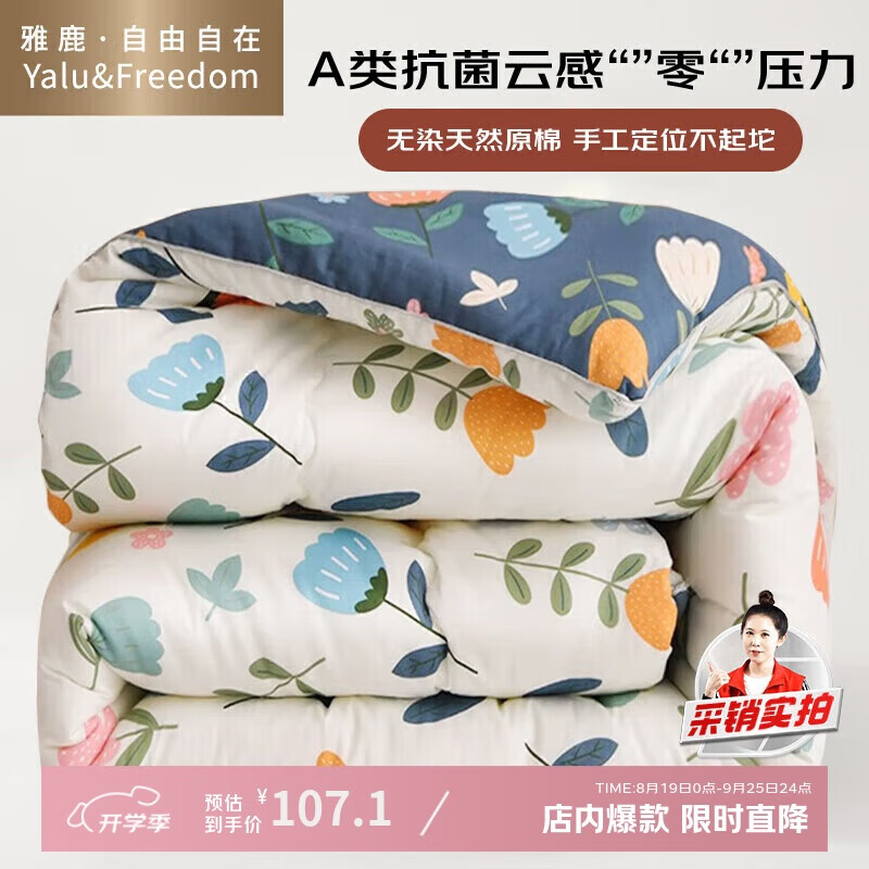 雅鹿·自由自在A(yíng)類(lèi)抗菌纖維被子 被芯春秋雙人春秋被褥棉被4斤200x230cm 繁花