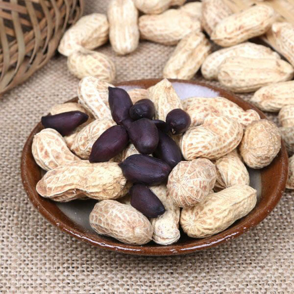 云南富硒生黑花生带壳黑花生米黑衣花生养胃花生批发养生原味好吃 1斤  精选出口级老品种小粒独粒黑花生 回甜味好