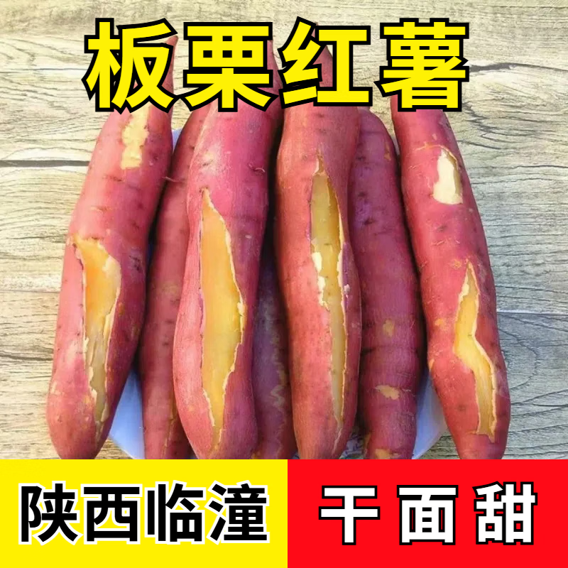 芸芸致实正宗陕西临潼板栗新挖红薯粉面甜新鲜番薯地瓜板栗薯 5斤中果 8-16根