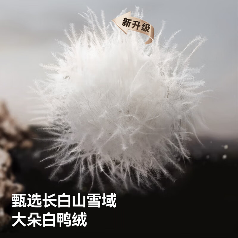 贝肽斯儿童羽绒裤冬季新款男女童宝宝外穿三防90白鸭绒保暖防寒抗菌绒 紫色 130 cm 充绒量约42.94g