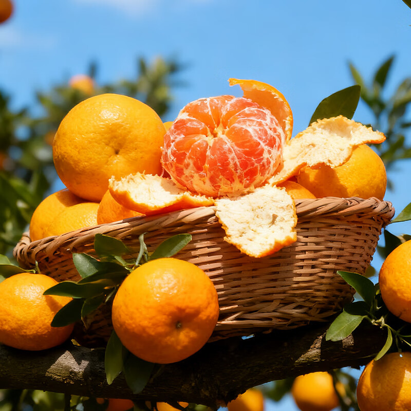 新余蜜桔分享送礼 新鲜蜜橘 橘子桔子水果酸甜多汁 生鲜蜜桔 果园顺丰直发 5斤装(净重4.5斤)【80%选择】 50-60mm大果