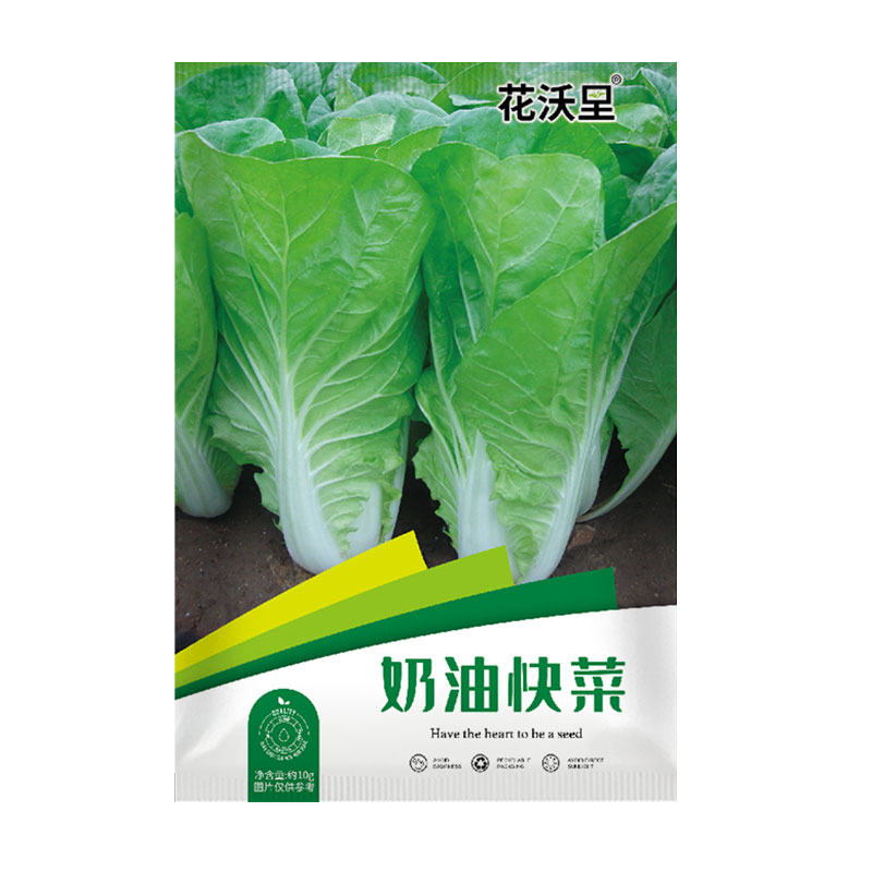 花沃里奶油快菜種子10克/包 蔬菜種子白菜蘿卜種籽陽(yáng)臺庭院田間土種植