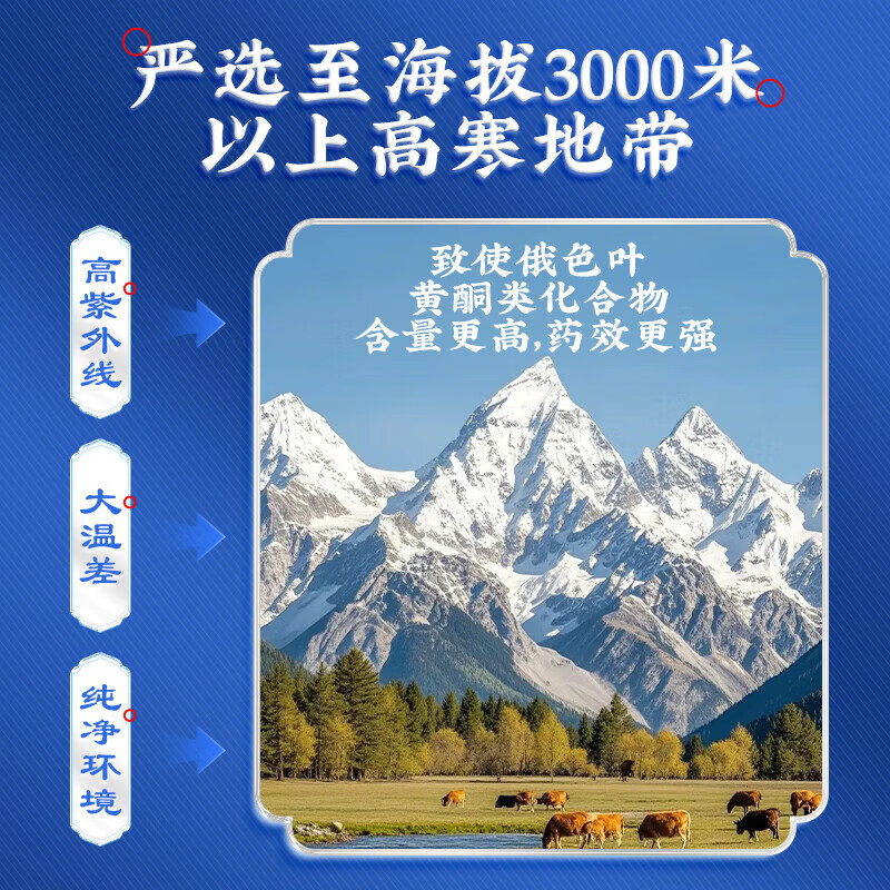 凤福仙 俄色叶中药饮片降血脂降血糖降血压老人三高茶饮甘孜藏族中药材 尝鲜装 深度装【10盒装】