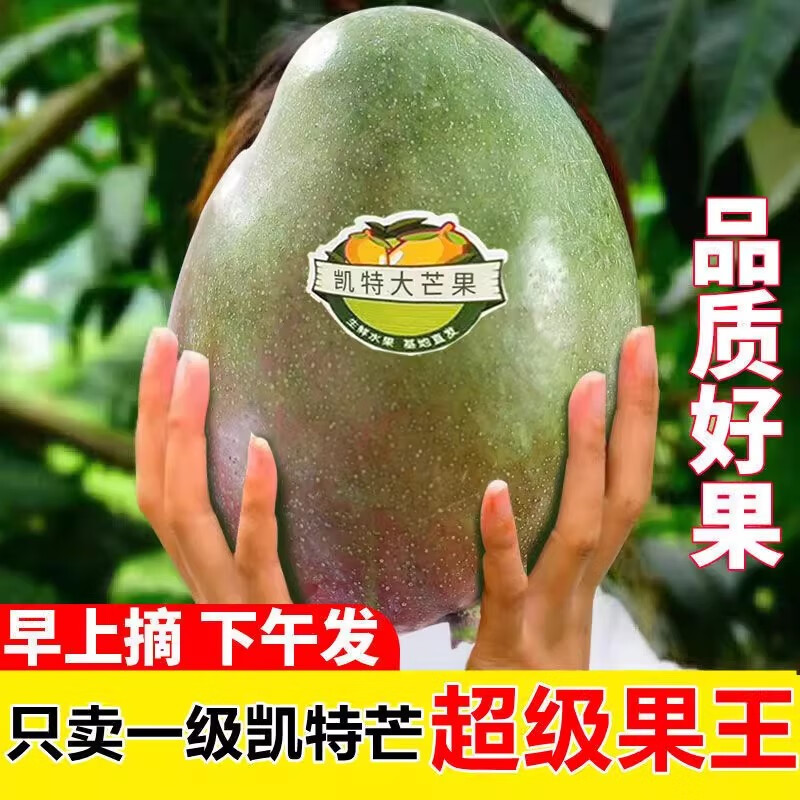 ���������â�� 9���ش���â�����Ĵ�������Ƥ�ȴ�ˮ��������ժ���� 8.5�7-8��/ö����ͨ��� 56.8Ԫ