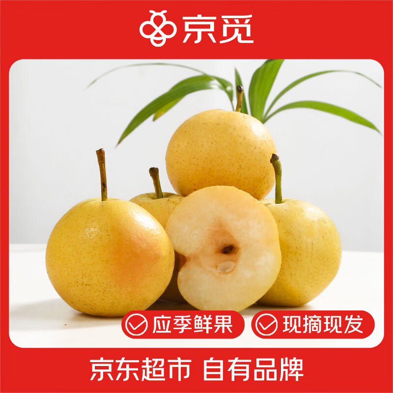 京觅 鞍山南果梨 净重4.5斤 单果50g以上 中秋新鲜水果整箱 源头直发