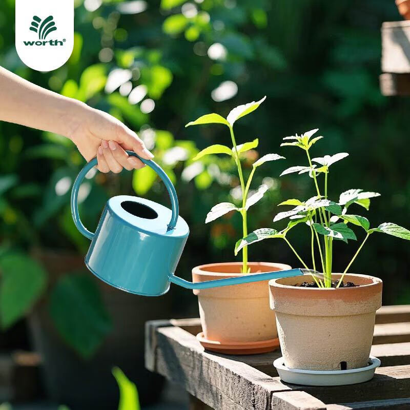 沃施澆花水壺長(cháng)嘴家用用尖小細嘴高顏值多肉灑澆水壺花壺鐵皮1L 藍色 1L花藝搭檔丨長(cháng)嘴花壺+大號醒花桶