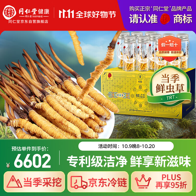 同仁堂（TRT）品牌 新鲜虫草0.61-0.8克/条100条装冬虫夏草青海源头直发包邮