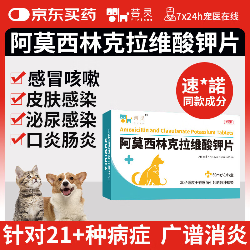 芸灵阿莫西林克拉维酸钾片猫狗感冒药宠物皮肤呼吸道细菌感染消炎药