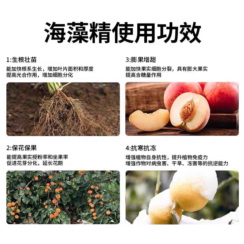 进口40%绿色海藻精肥料叶面肥水溶肥冲施肥促生根剂生根壮苗剂 国产20%海藻精【50斤】