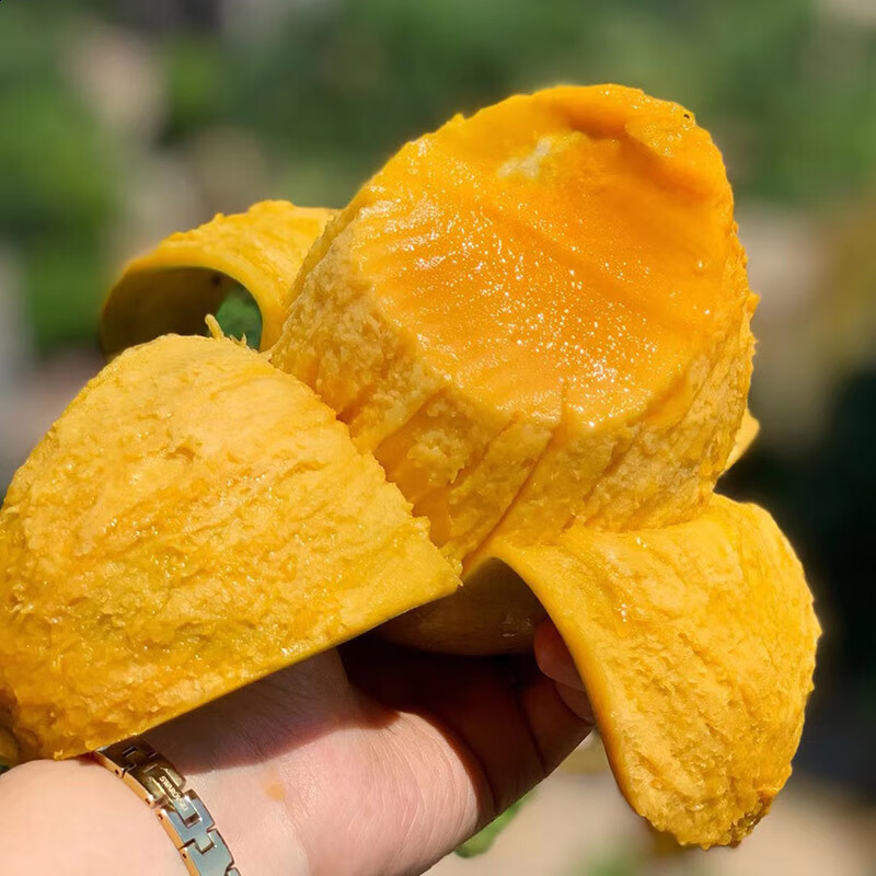 忆京源四川攀枝花凯特芒 新鲜水果当季大脸芒特大青皮芒果彩虹芒整箱 5斤大果精选装 【现摘当天发货】