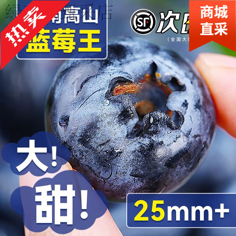 云南蓝莓鲜果L25花香特大果当季现摘新鲜水果孕妇大果怡颗蓝梅 12盒 大果18-20mm[单盒125g]爆卖