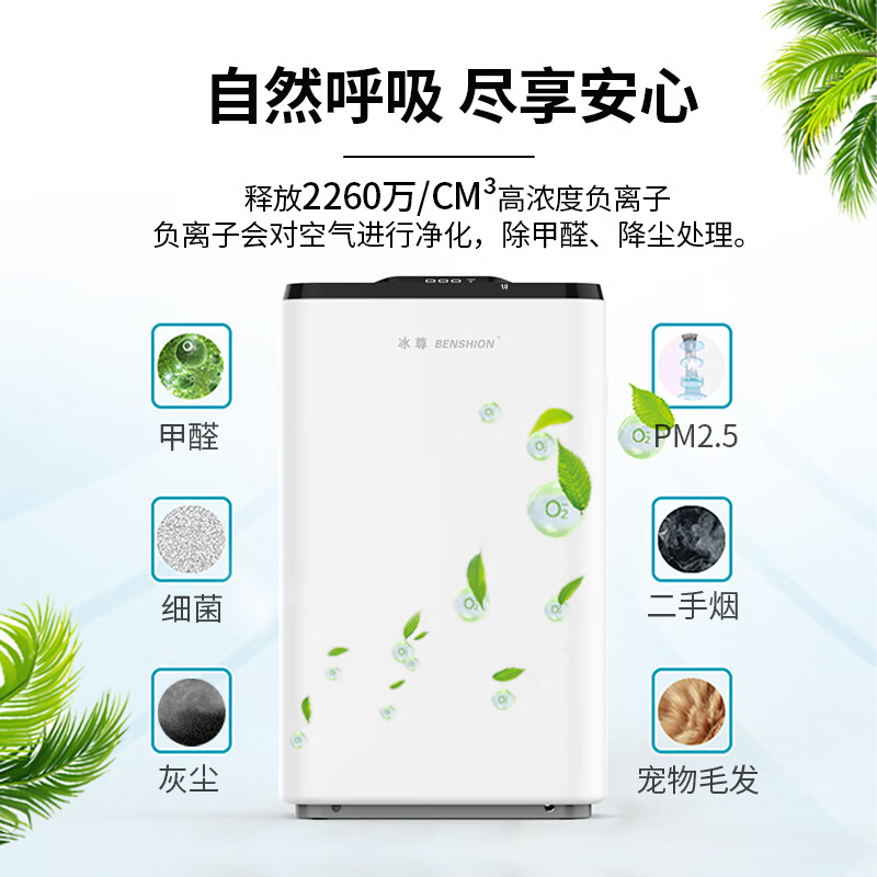 冰尊（BENSHION）空气净化器家用除甲醛除菌99%负离子2260万童锁宠物吸毛除PM2.5除粉尘静音P5 机器标配