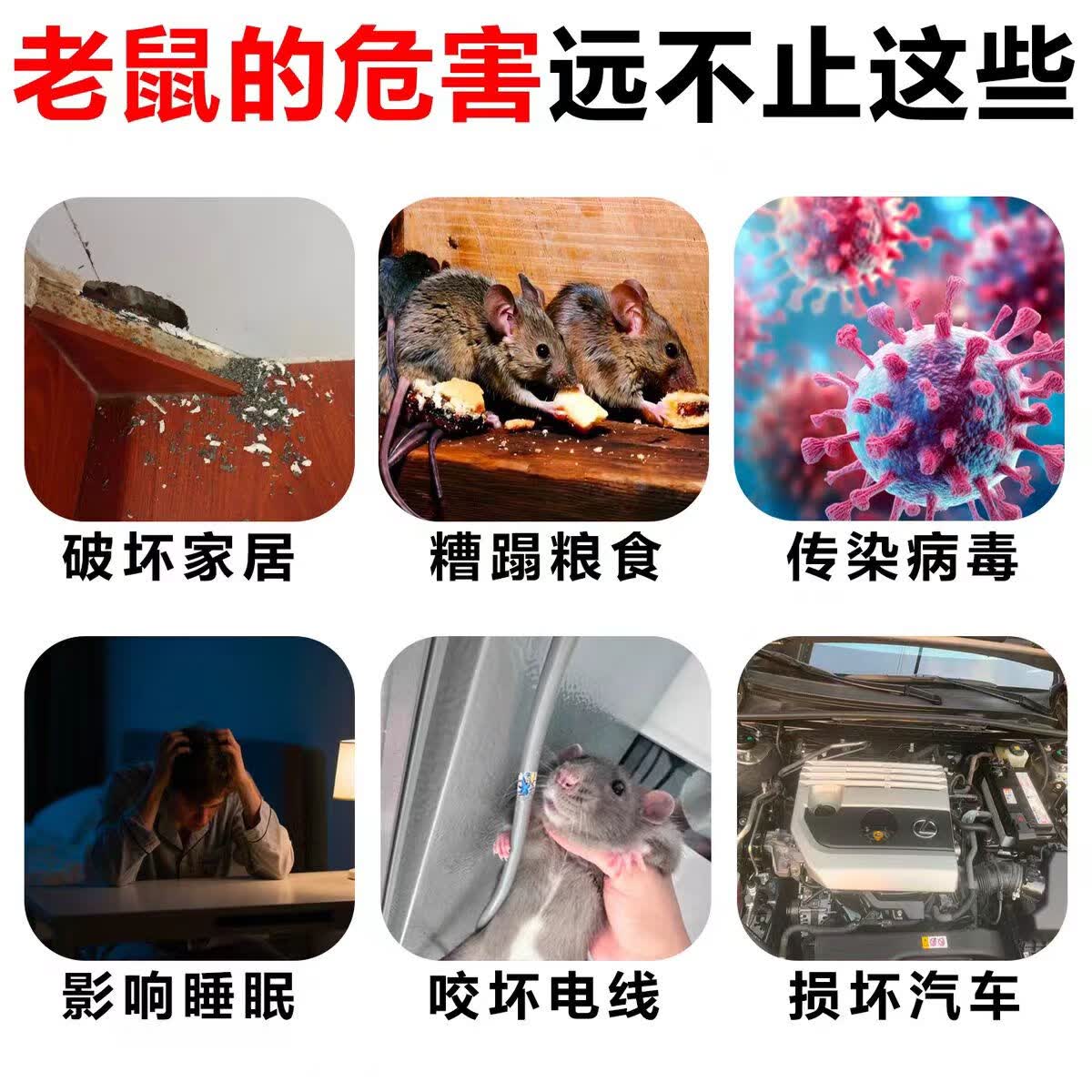 鼠道难灭鼠王老鼠药大小老鼠药三步到一闻就死家用捕鼠颗粒杀鼠剂神器 3袋【灭鼠王】老鼠断肠散