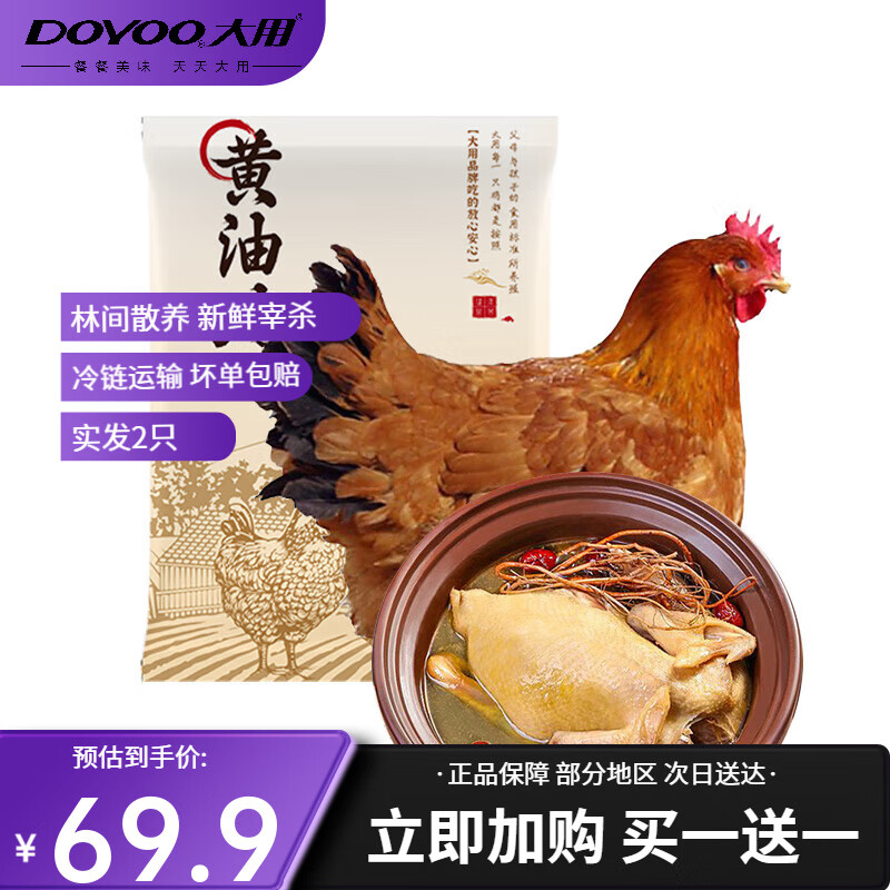 大用（DOYOO）农家散养土鸡走地鸡慢养老鸡谷物喂养冷冻整鸡月子汤炖汤1350g/只 黄油鸡1只装（单只2.7斤）
