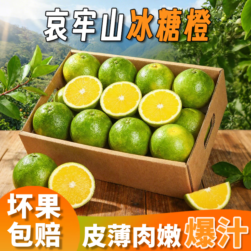 橙先森云南哀牢山正宗冰糖橙新鲜爆汁橙子水果当季整箱果冻甜橙手剥橙子 净重4.5斤果王70-75mm【分享装】
