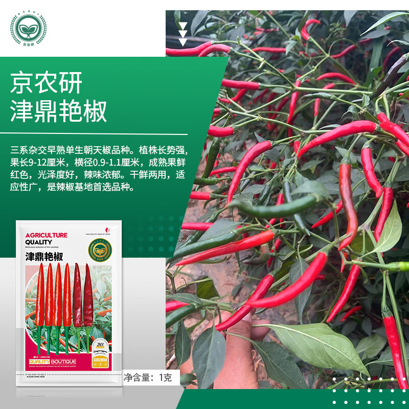 ��ũ������������С�������콷ţ�ǽ��������߽���˿��ũ��Ժ�߲����� ��ũ�н��޽����������ã� 1��