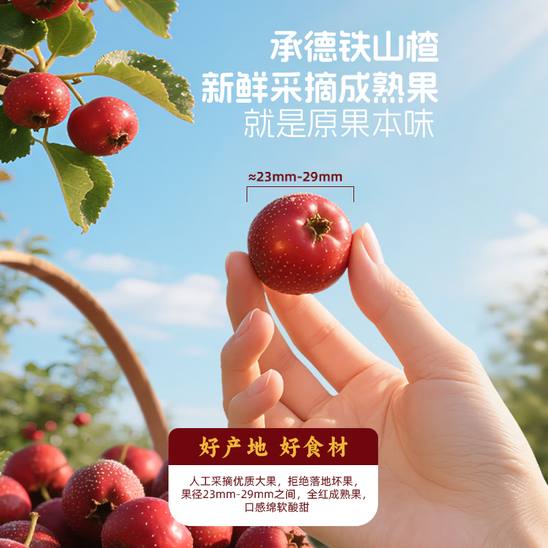 盖狮高纤空心烤山楂 无添加休闲零食独立包装无核小火烘烤山楂 【零嘴组合】板栗仁+烤山楂 250g 2袋