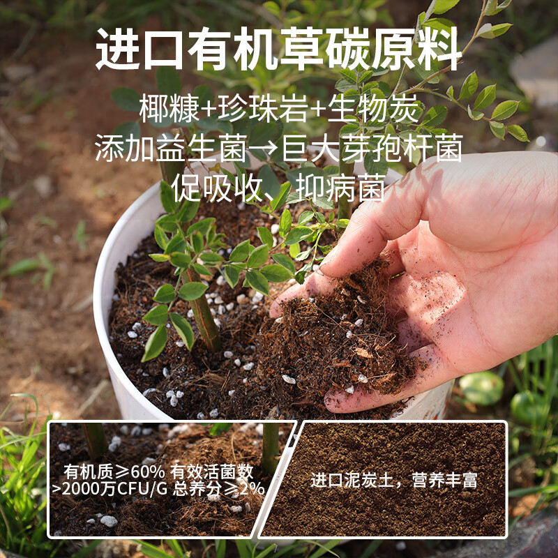 CASHW多肉专用土营养土颗粒土肉肉土壤盆栽种植土幼苗成苗老桩透气土 【大包多肉土】10L