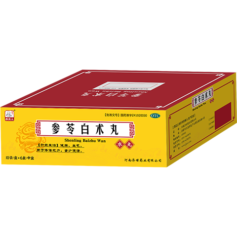 药王孙真人参苓白术丸60袋 参苓白术散健脾胃颗粒健脾祛湿疏肝解郁脾胃虚弱湿气重肝火盛气血不足口苦口臭