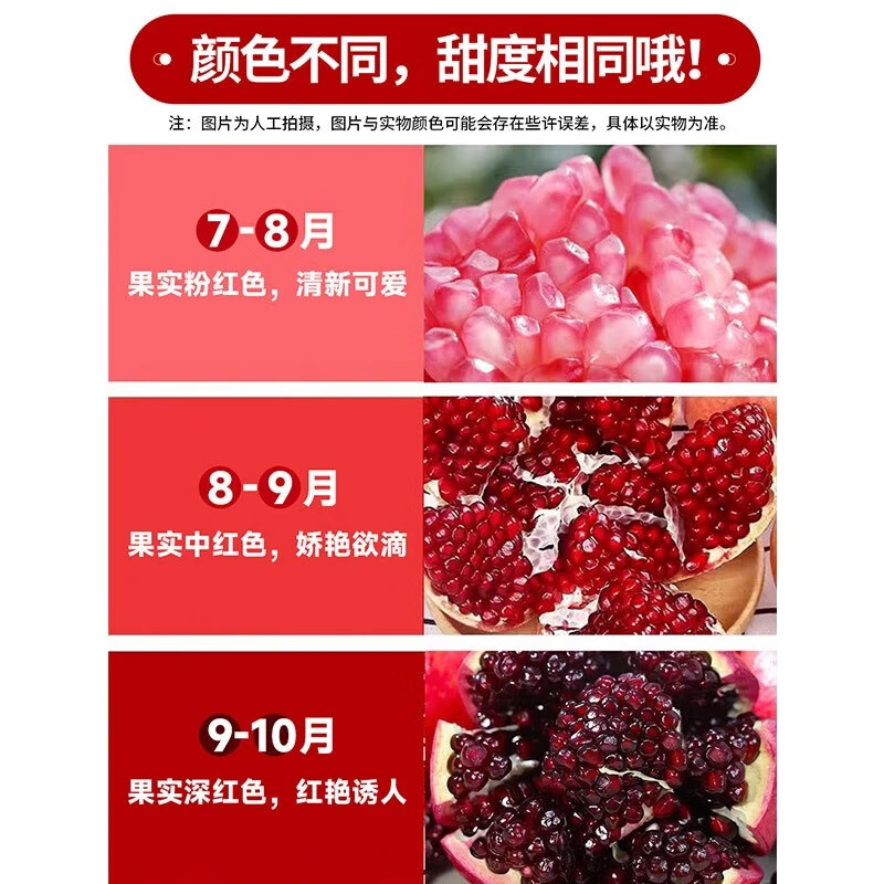 琪江果正宗突尼斯软子石榴 新鲜应季水果中秋节日礼盒整箱 突尼斯软籽石榴4.5-5斤单果200g+