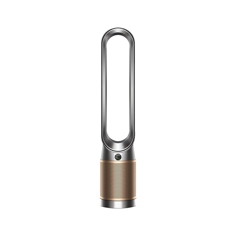 戴森（DYSON）TP12空气净化风扇  过滤病毒 全屋循环 除过敏原除甲醛除烟味吸猫毛除PM2.5 黑金色【价保618】