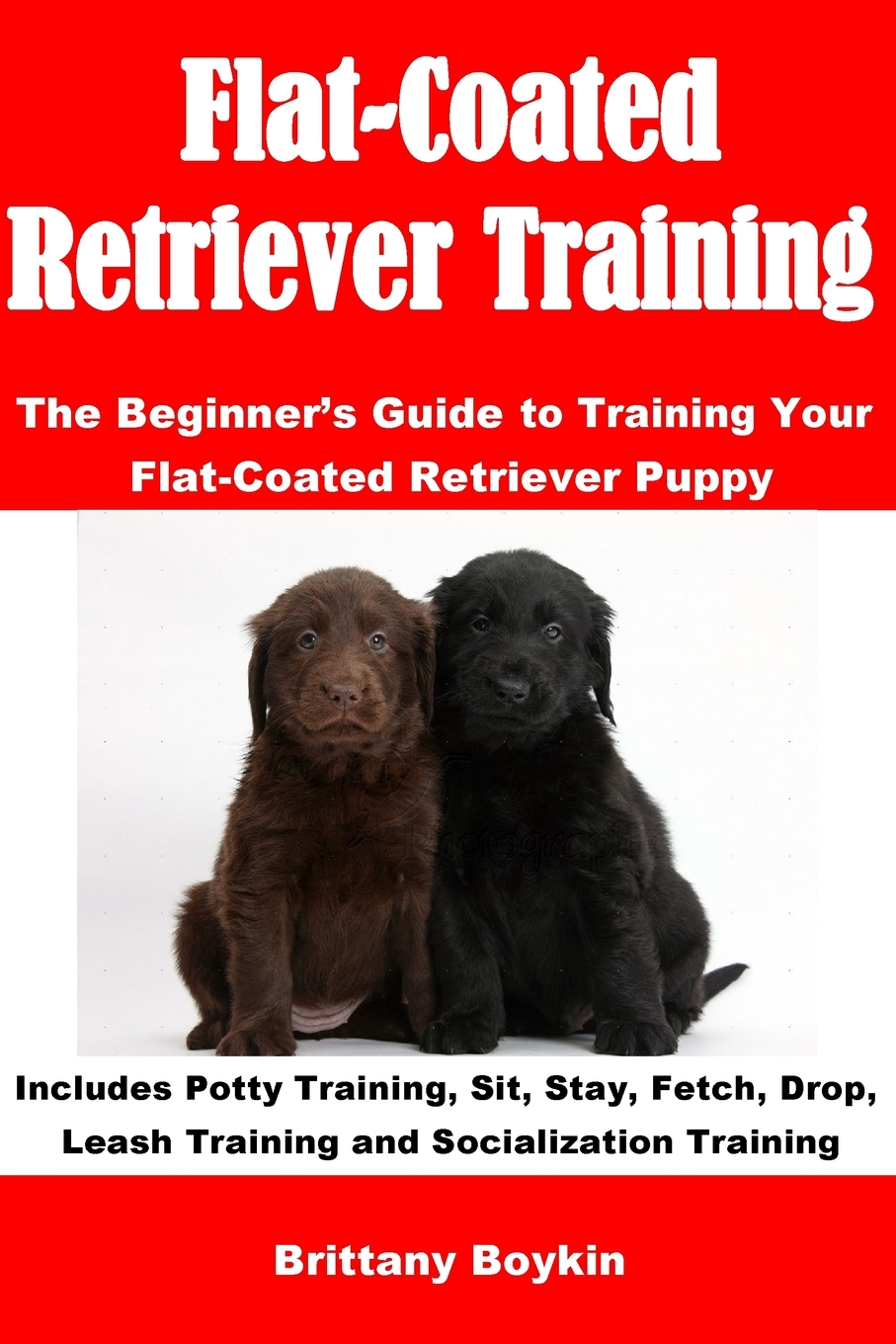 预售 按需印刷flat-coated retriever training: the beginners