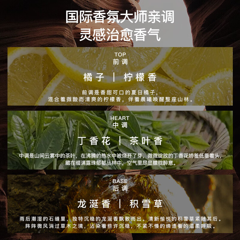 柏丽兹山茶与乌木旅行装植物香氛身体乳沐浴露洗发水保湿洗护小样 旅行装4件套60ml*4(沐浴露+洗发水+护发素+身体乳)