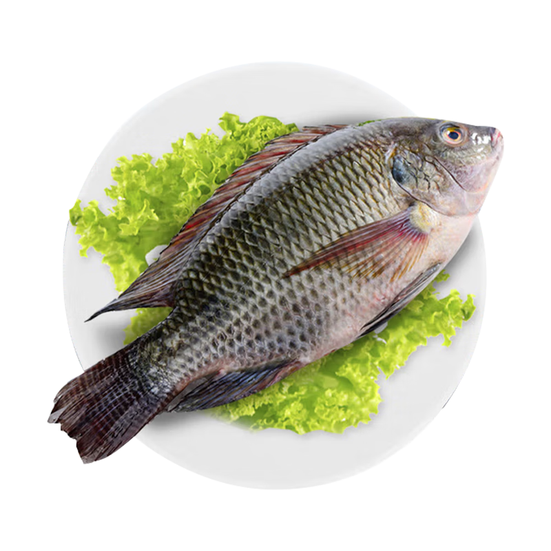 ڲ޿ȥ޷㾻300-400g/*6⴦ȥȥȥ 68.74Ԫ