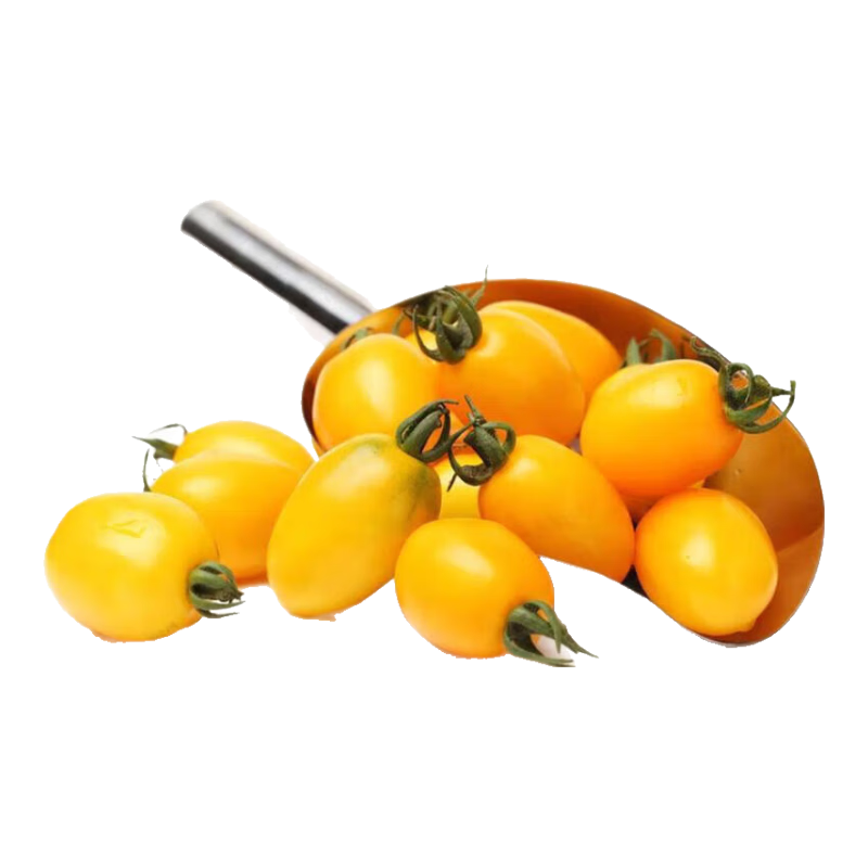 ��ϲ�� ��������С���� ��ɫ����ʥŮ�� 1.7�� ���� 6.94Ԫ